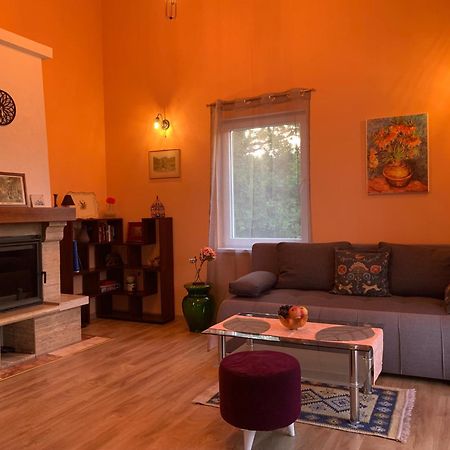 Patrick House Villa Tivat Exterior foto